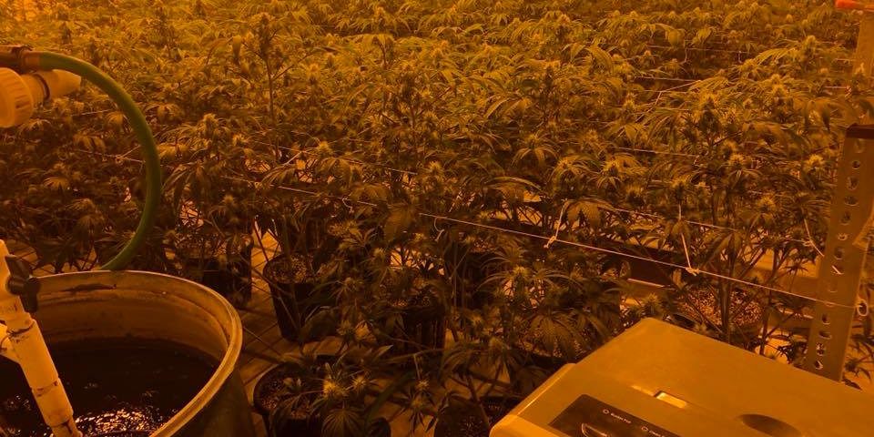 40104922_1891272727607435_4119849917290119168_n